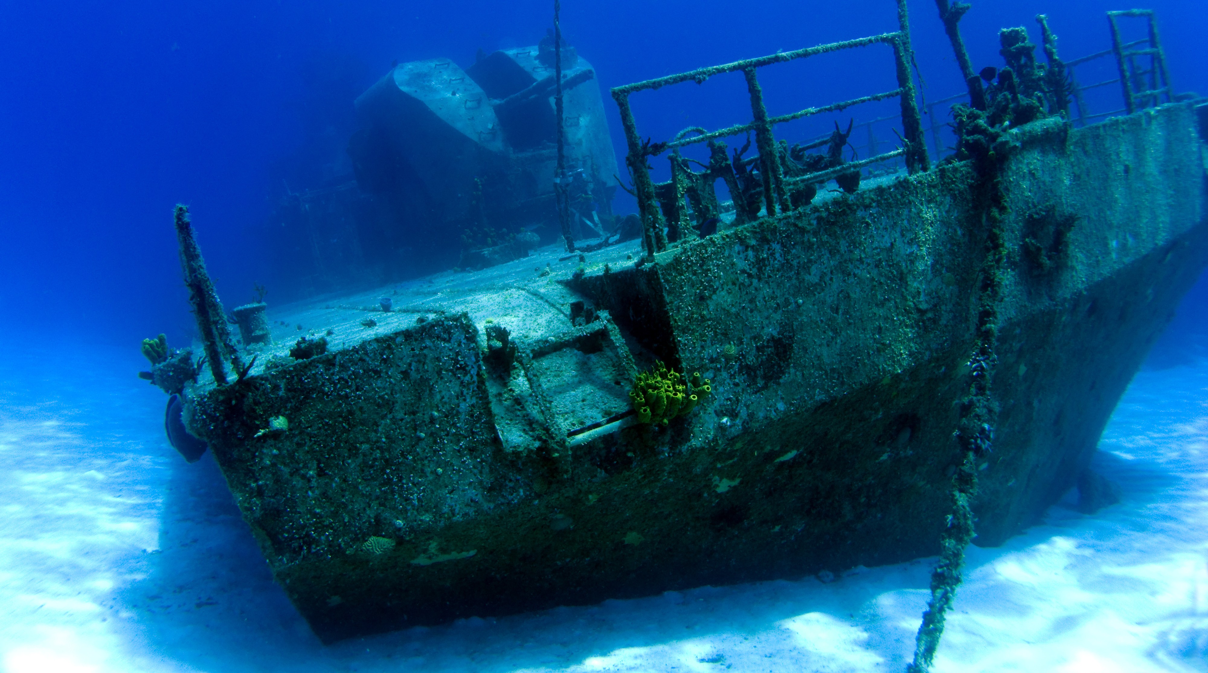 Потоплена подводная лодка в черном море. Затонувшие корабли в Севастополе. Герсоппа корабль. Затонувший Мусаси. Корабли под водой.