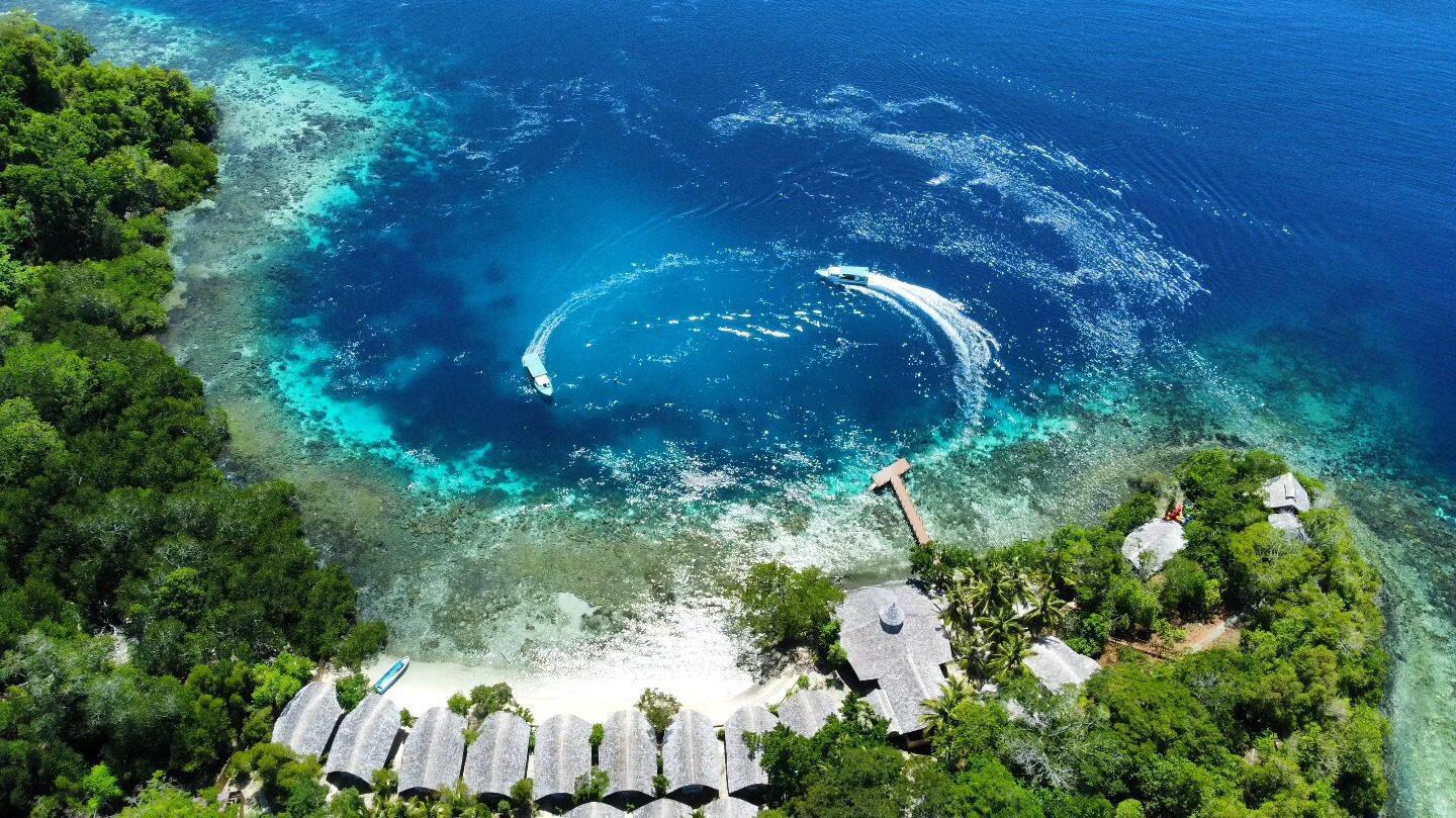 Halmahera – Północne Sulawesi – 9 dniowe safari na pokładzie M/Y Ilike 01.04 – 12.04.2027