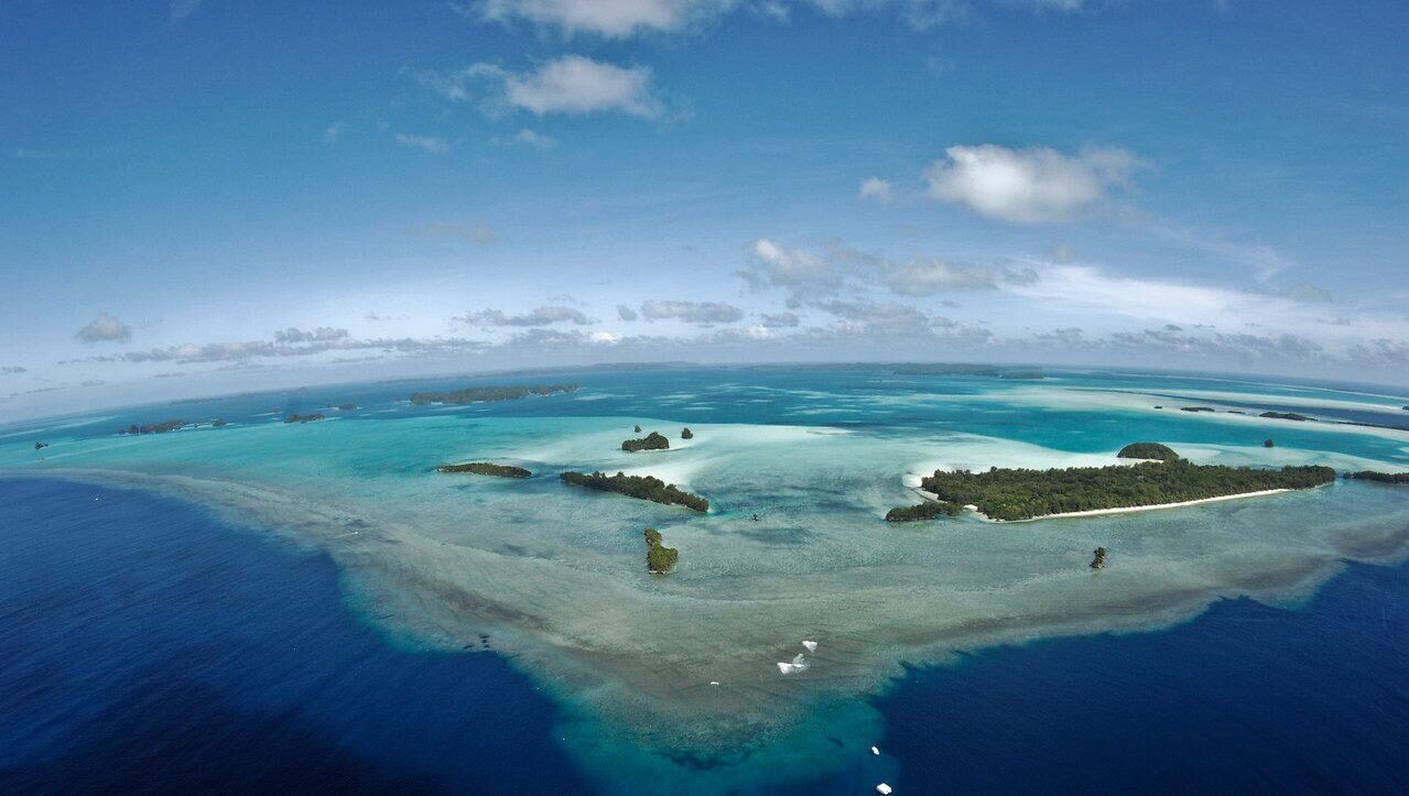 Palau – Mikronezja – Światowy bestseller nurkowy – Full Moon Expedition!
