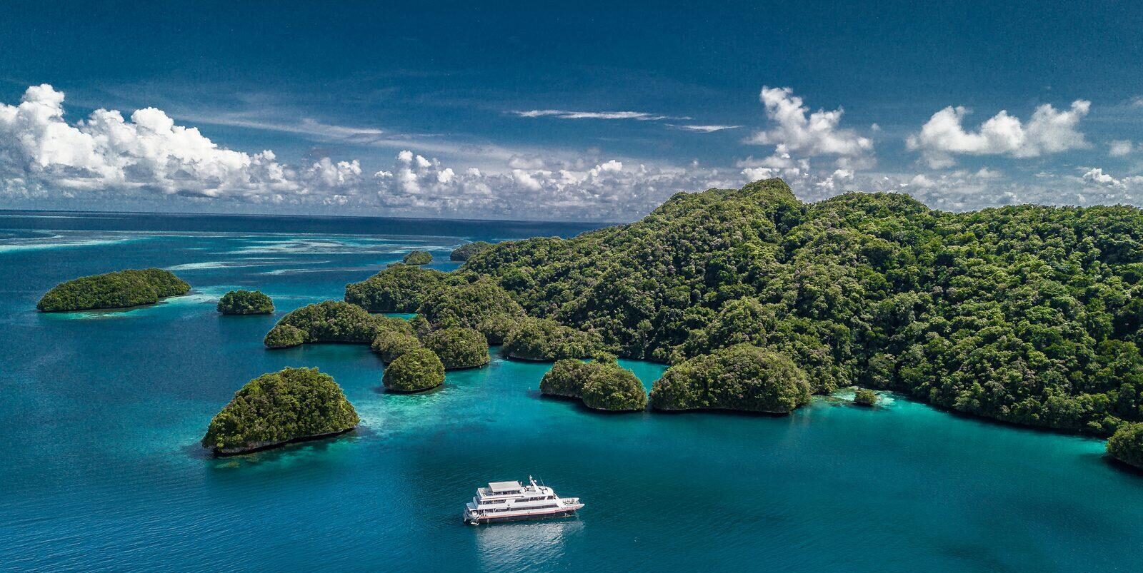 Palau – Mikronezja – Światowy bestseller nurkowy- New Moon Expedition!