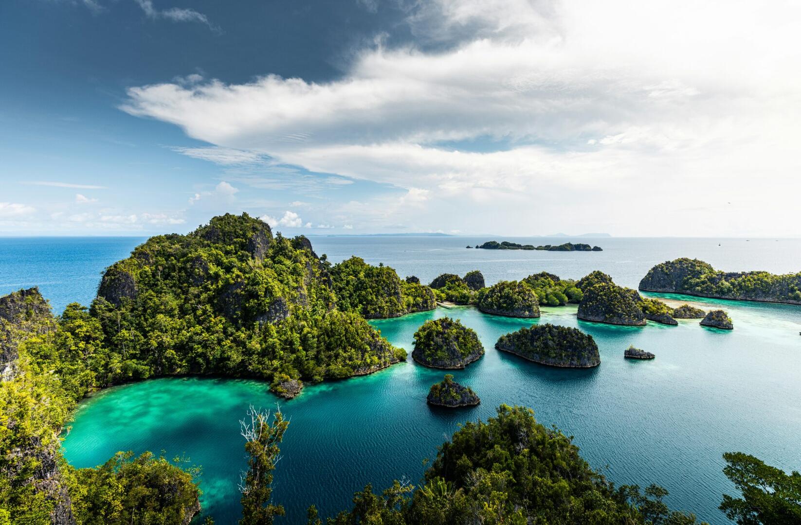 Raja Ampat – Indonezja – safari na pokładzie M/Y Mola Mola II