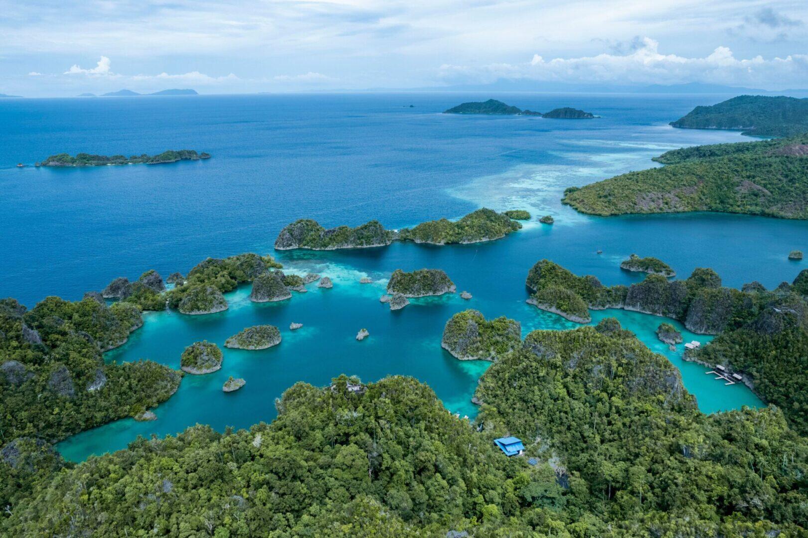 Raja Ampat – Indonezja – safari na pokładzie M/Y Mola Mola I