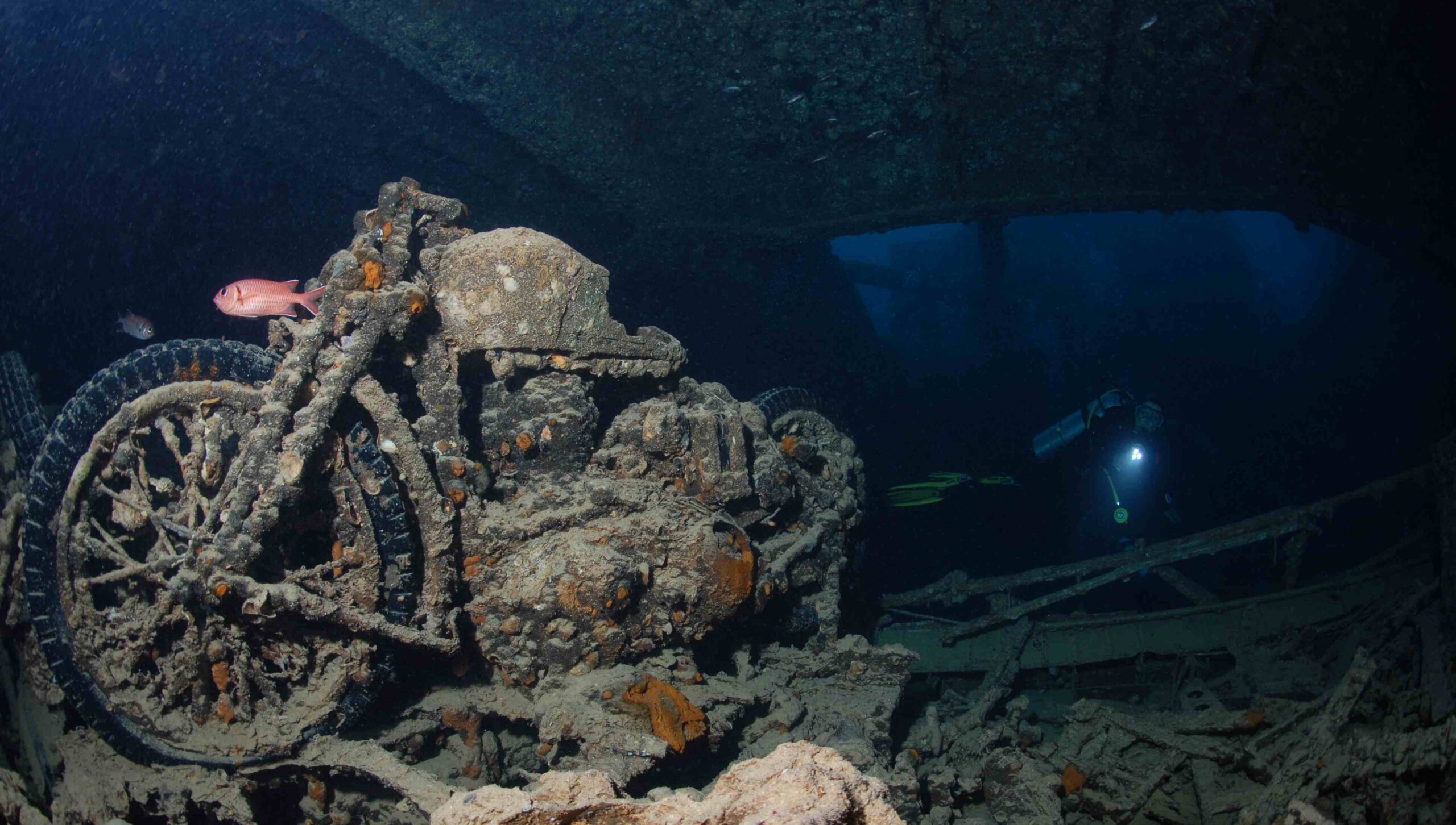 Safari nurkowe – trasa Północ, Tiran, Dahab- Łódź Sea Serpent Grand