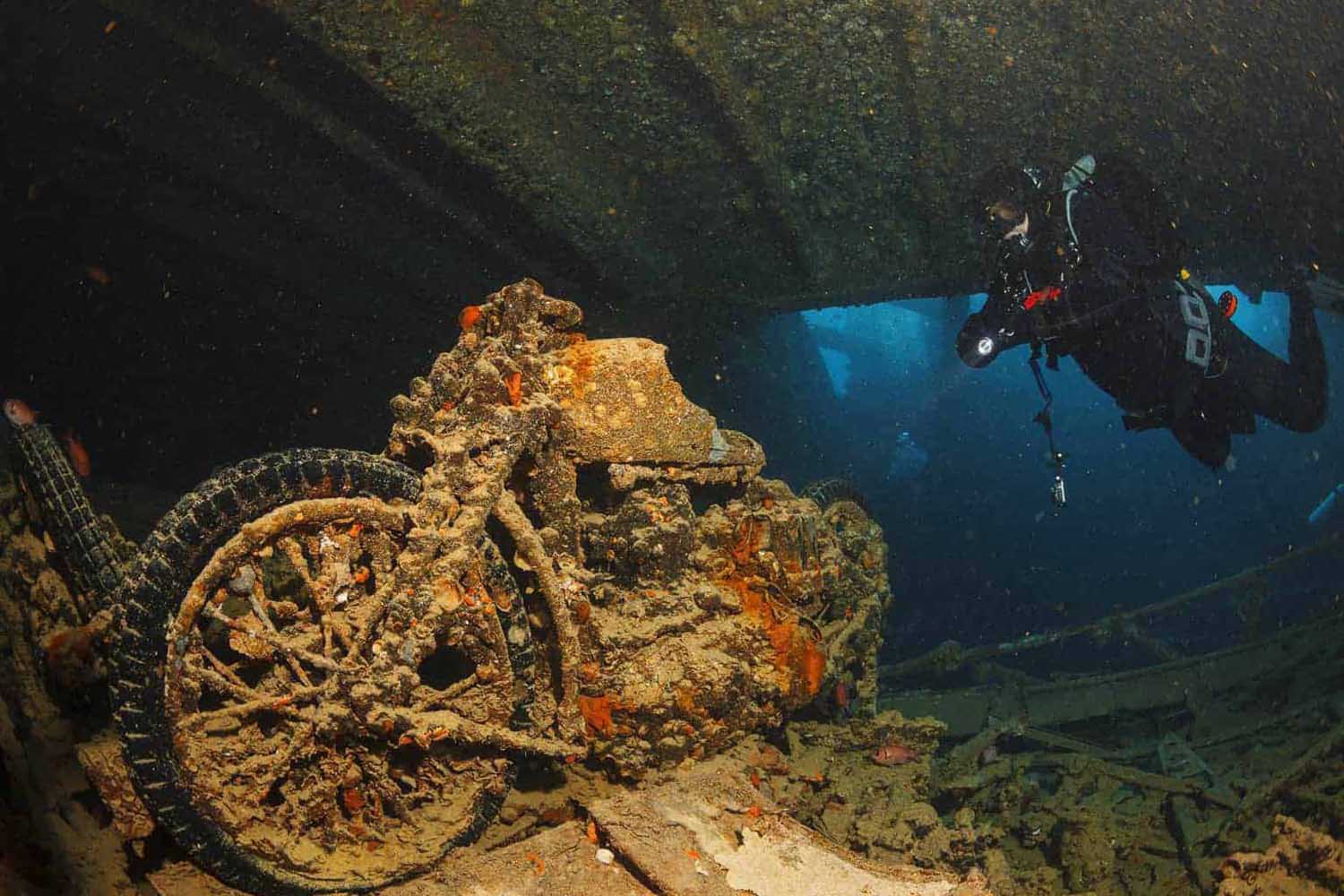 Safari nurkowe – trasa Północ i wyspy Brothers – Łódź Sea Serpent Serena