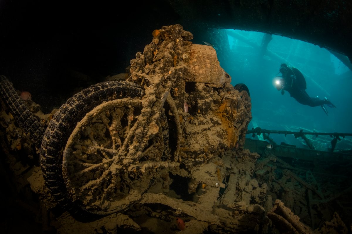 Safari nurkowe – trasa Północ i Tiran – Łódź Sea Serpent Serena