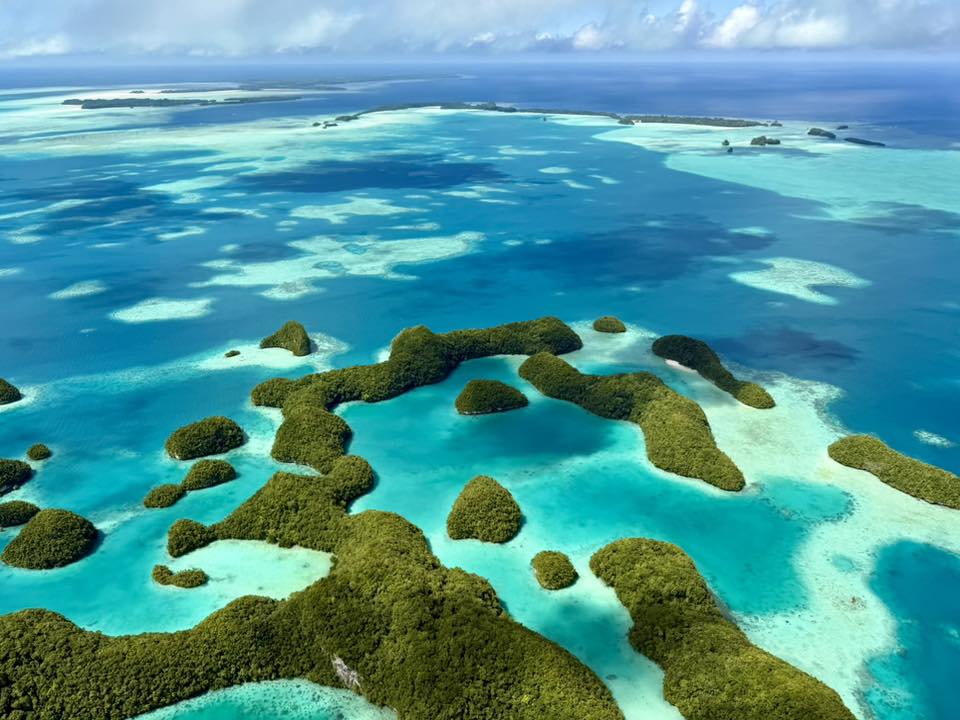 Palau – Mikronezja – Światowy bestseller nurkowy – Full Moon Expedition!