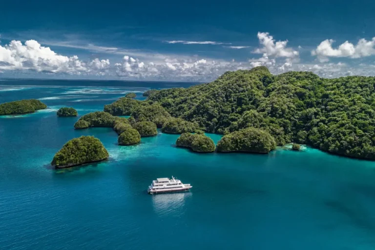 Palau. Światowy bestseller nurkowy! Full Moon Expedition! Tarło red snapperów