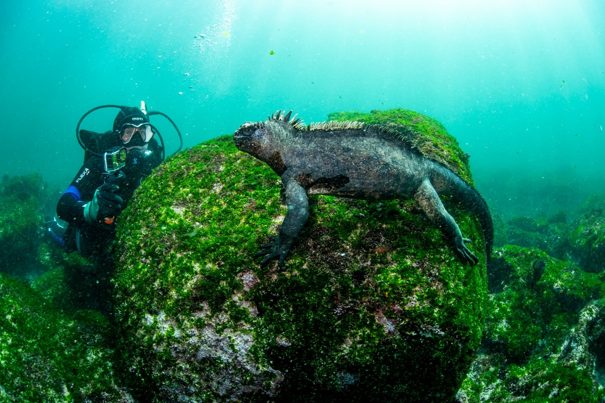 Galapagos – wyprawa do Republiki Zwierząt z atrakcjami okolic Quito! Łódź Galapagos Master