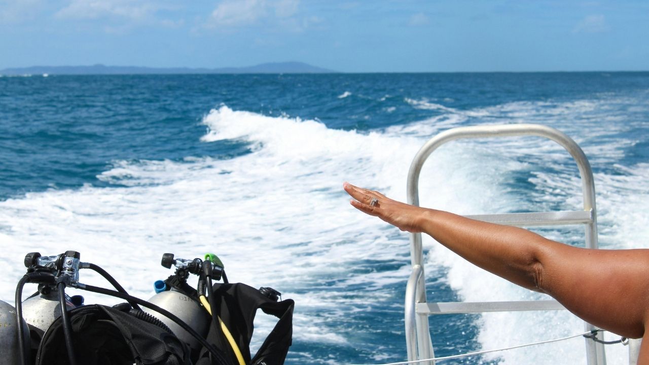 Pierwsze safari nurkowe – jak wygląda dzień na łodzi (i czy dasz radę)?