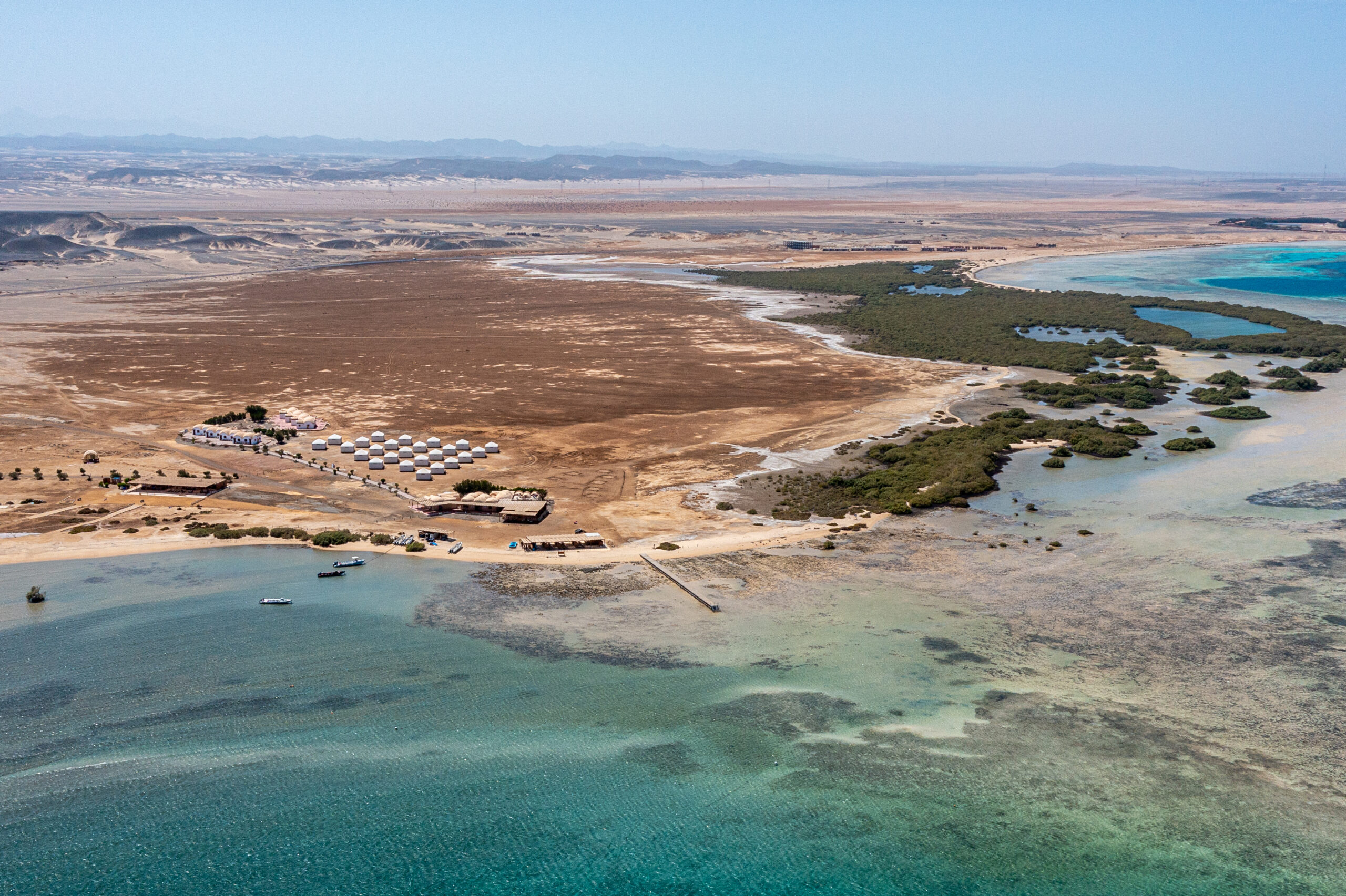 Wadi Lahami – wiosenne przebudzenie