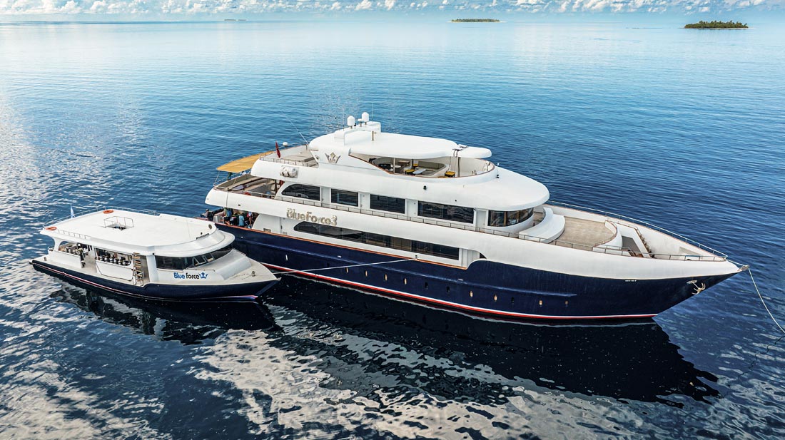 Safari nurkowe na Malediwach + Sri Lanka – łódź Maldives Blue Force 3