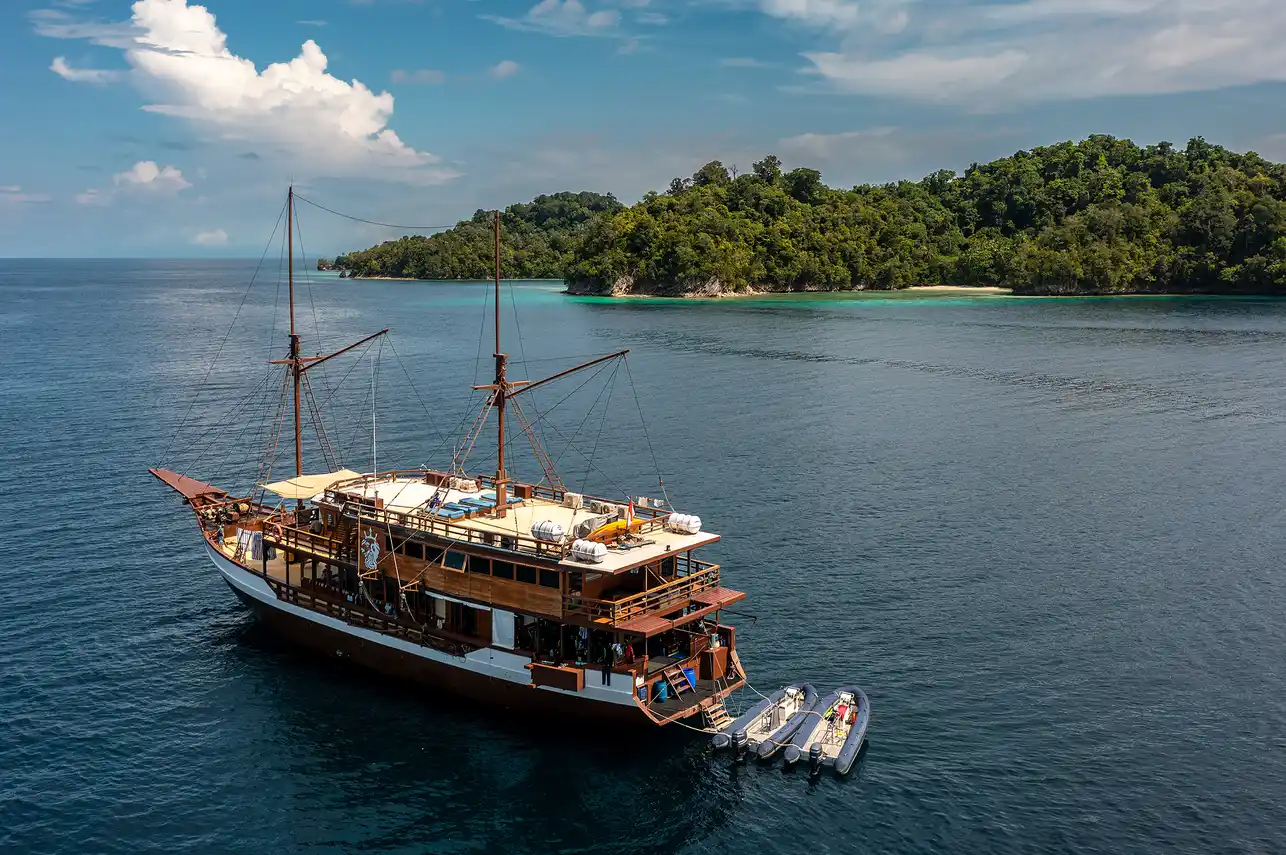 Morze Banda & Triton Bay – 11 dniowe safari Hammerheads Expedition M/Y Neptune One