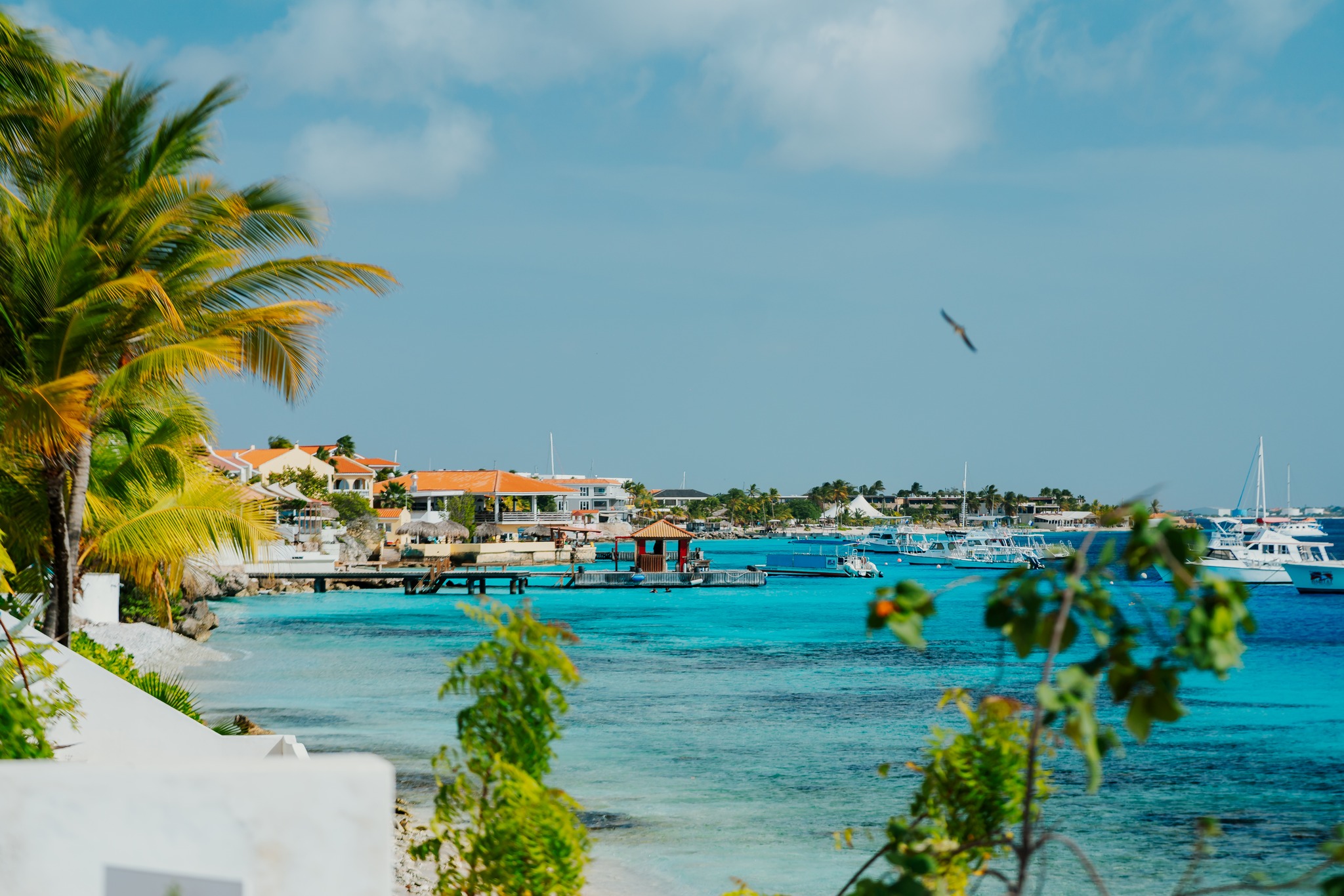 Bonaire – karaibska swoboda nurkowania