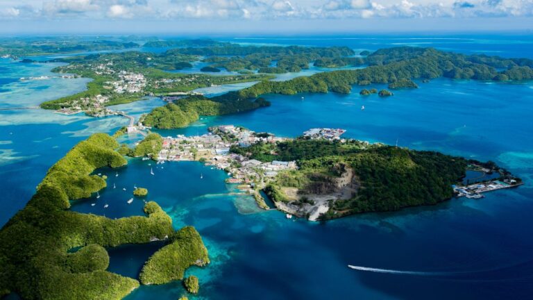 Palau – co sprawia, że nurkowie wracają tam wielokrotnie?